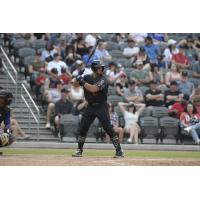 Fayetteville Woodpeckers' Sandro Gaston at bat