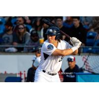 Victoria HarbourCats' Cooper Crompton at bat