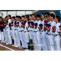 Victoria HarbourCats on game day