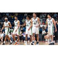 Niagara River Lions on game night