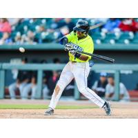 Columbia Fireflies' Omar Florentino at bat