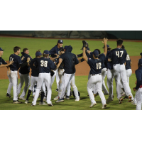 San Antonio Missions celebrate win