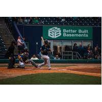 Somerset Patriots' Jeisson Rosario at bat