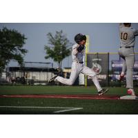 Mankato MoonDogs sprint to first base