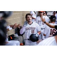 Mankato MoonDogs first baseman Kip Fougerousse