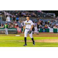 Charleston RiverDogs on game night