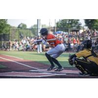 Mankato MoonDogs prepare to lay down a bunt