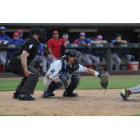 Fond du Lac Dock Spiders on game night