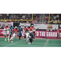 Jacksonville Sharks battle the Fayetteville Mustangs