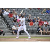 Fayetteville Woodpeckers at bat