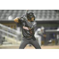 Fayetteville Woodpeckers' Brett Gillis at bat