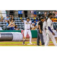 Charleston RiverDogs on game night