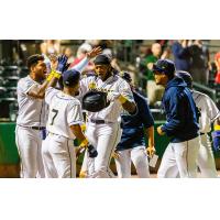 Charleston RiverDogs celebrate win