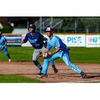 Victoria HarbourCats' Tyler Davis on game night