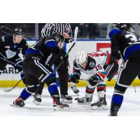 Kelowna Rockets battle the Victoria Royals