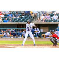 Charleston RiverDogs' Chandler Simpson at bat