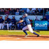 Victoria HarbourCats' Nick Dumesni in action