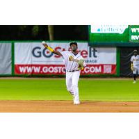 Charleston RiverDogs shortstop Odalys Peguero