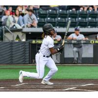 Eugene Emeralds in action