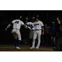 Evansville Otters' Jomar Reyes celebrates win