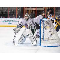 Goaltender Brad Arvanitis with the Rapid City Rush