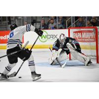 Portland Winterhawks's goal tender Justen Maric in action