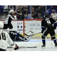 Victoria Royals' Tanner Scott and Justin Kipkie in action