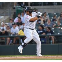 Somerset Patriots outfielder Jasson Dominguez