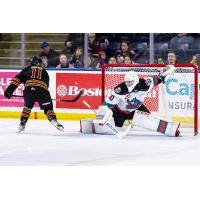 Kelowna Rockets' Jari Kykkanen in action