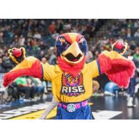 Grand Rapids Rise mascot Phoenix