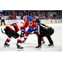 Belleville Senators' Donovan Sebrango versus Laval Rocket's Philippe Maillet
