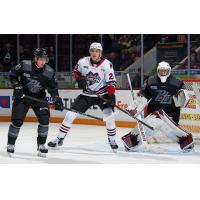 Peterborough Petes defenceman Martin Matejicek and goaltender Easton Rye vs. the Guelph Storm