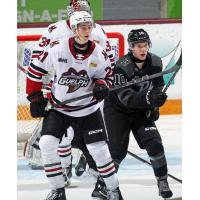 Peterborough Petes centre Adam Levac vs. the Guelph Storm