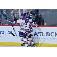 Orlando Solar Bears celebrate a goal