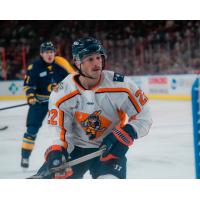 Greenville Swamp Rabbits forward Zach White