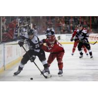 Wichita Thunder's Braden Haché versus Rapid City Rush's Ryan Wagner