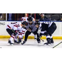 Wichita Thunder face off with the Rapid City Rush