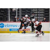 Tucson Roadrunners forward Egor Sokolov delivers a hard hit