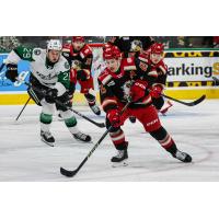 Grand Rapids Griffins right wing Dominik Shine vs. the Texas Stars