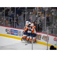 Flint Firebirds celebrate a goal