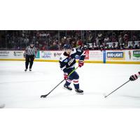 South Carolina Stingrays defenseman Jayden Lee