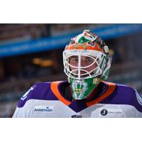 Orlando Solar Bears goaltender Alexis Gravel