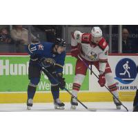 Grand Rapids Griffins left wing Elmer Söderblom (right) vs. the Cleveland Monsters