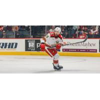 Grand Rapids Griffins left wing Hunter Johannes