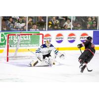 Adirondack Thunder forward Andre Ghantous takes a shot against the Maine Mariners