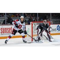 Peterborough Petes goaltender Zach Bowen vs. the Ottawa 67's