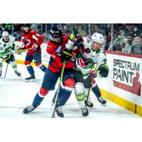 South Carolina Stingrays battle the Savannah Ghost Pirates