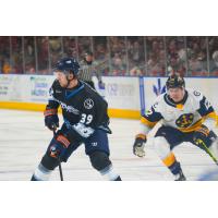 Greenville Swamp Rabbits defenseman Parker Berge (left)