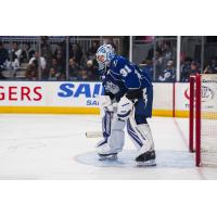 Syracuse Crunch goaltender Brandon Halverson