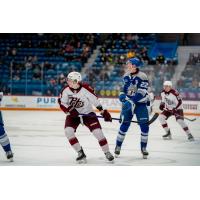 Peterborough Petes right wing Caden Taylor against the Sudbury Wolves